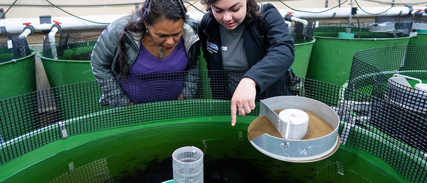 two U N E students examine an aquaculture tank