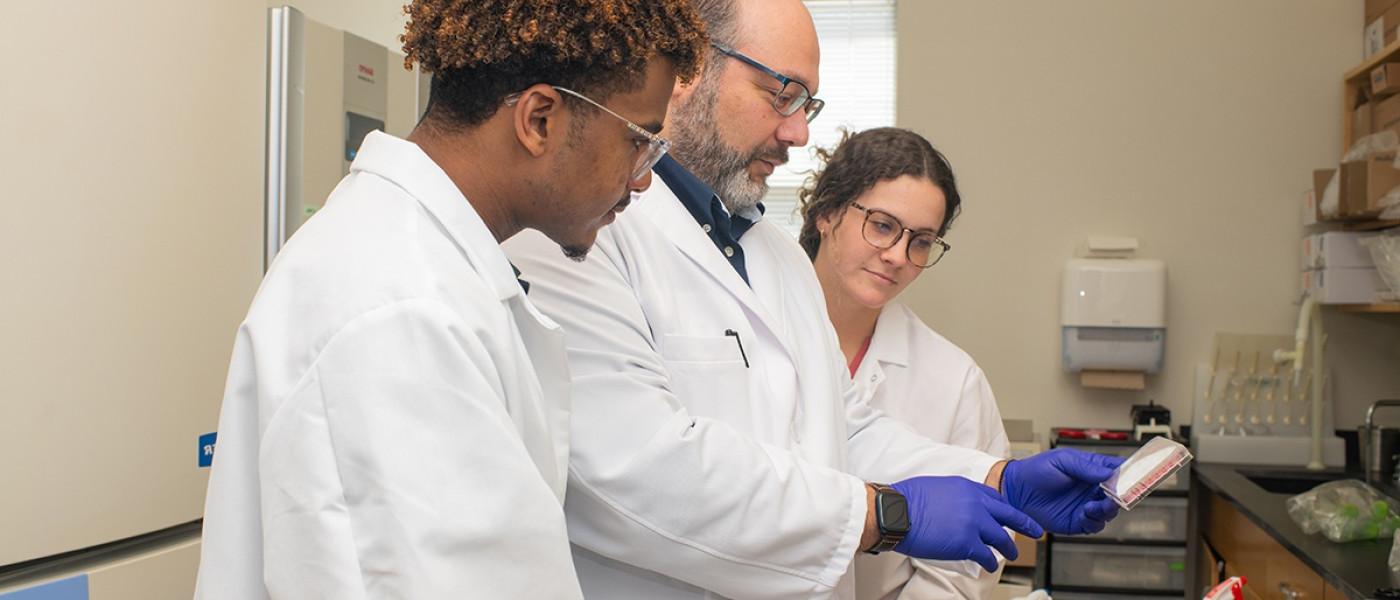 Two students and a professor reviewing part of a lab 